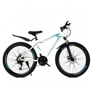 Bicicleta de 24 pulgadas